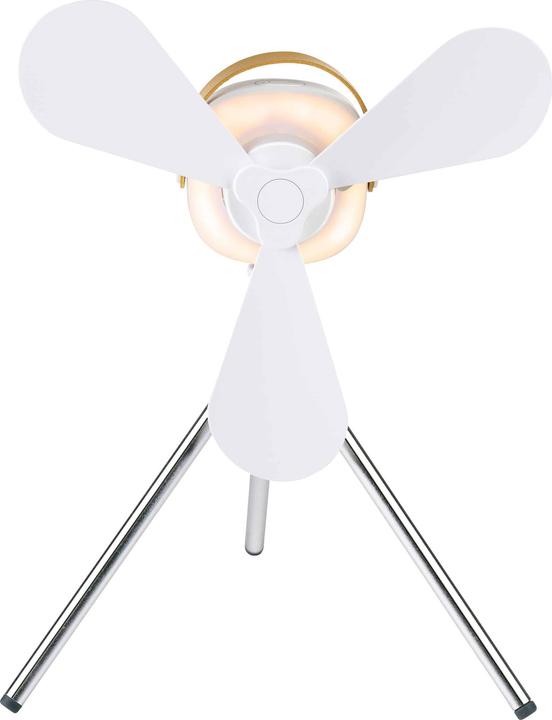 Image du produit Lifetime Air Ventilateur de table USB 12cm 2000mAh