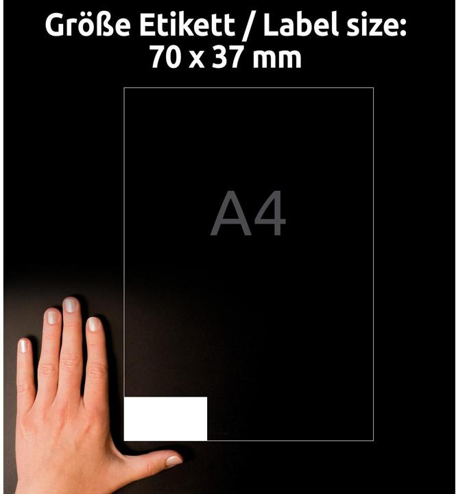 Immagine prodotto Avery Etichette resistenti alle intemperie