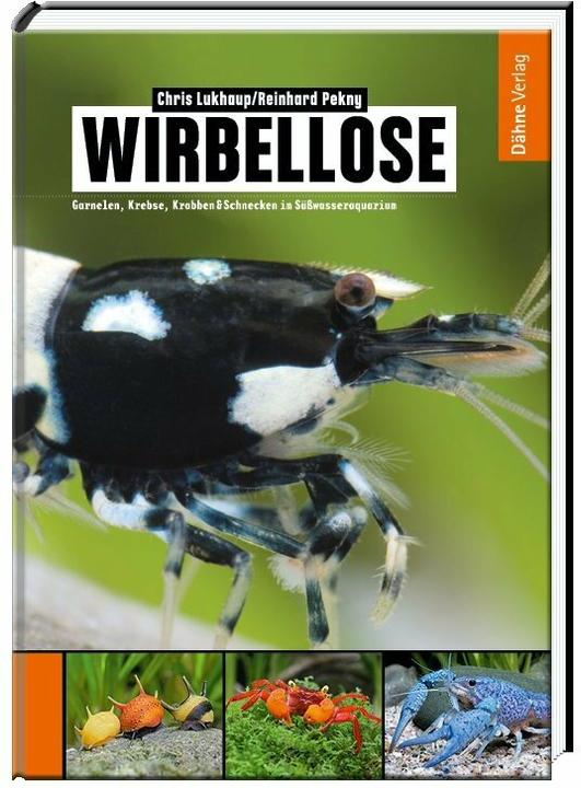 Produktbild Wirbellose (Deutsch, Chris Lukhaup, Reinhard Pekny, 2014)