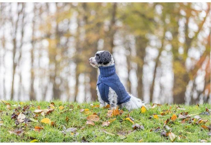 Actual product image Trixie Norwood M jumper, 45 cm, dark blue (M, Dog jumper)
