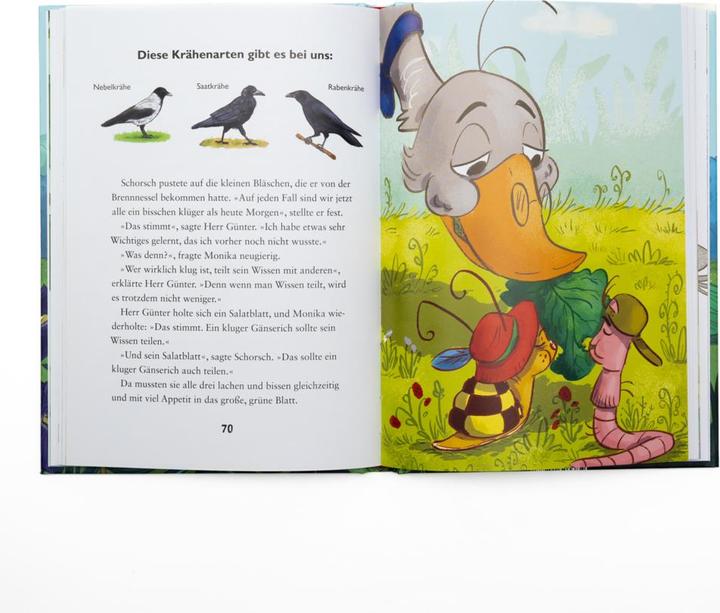 Produktbild Die kleine Schnecke Monika Häuschen 6: Wer knackt den Rekord? (Deutsch, Kati Naumann, Barbara Fisinger, 2024)