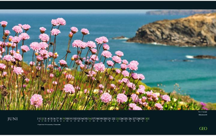 Image du produit Neumann GEO - Calendrier mural Moments in Nature 2025 - Fascinantes photographies de la nature, format (58 x 36 cm)
