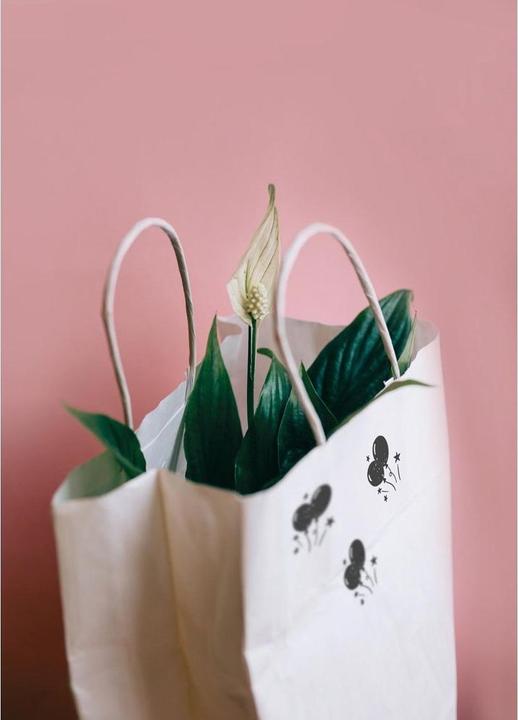 Image du produit Colop Tampon Little NIO Set texte allemand, 10 pièces