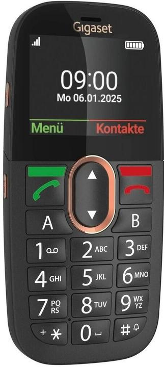 Productafbeelding Gigaset GL695 (2.31", 2 Mpx)