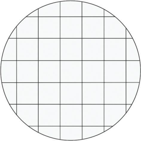 Actual product image Leitz Wow (A4, Checked, Hardcover)