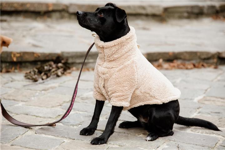 Produktbild Kentucky Dogwear Hunde Pullover Teddy Fleece (XL, Hundepullover)