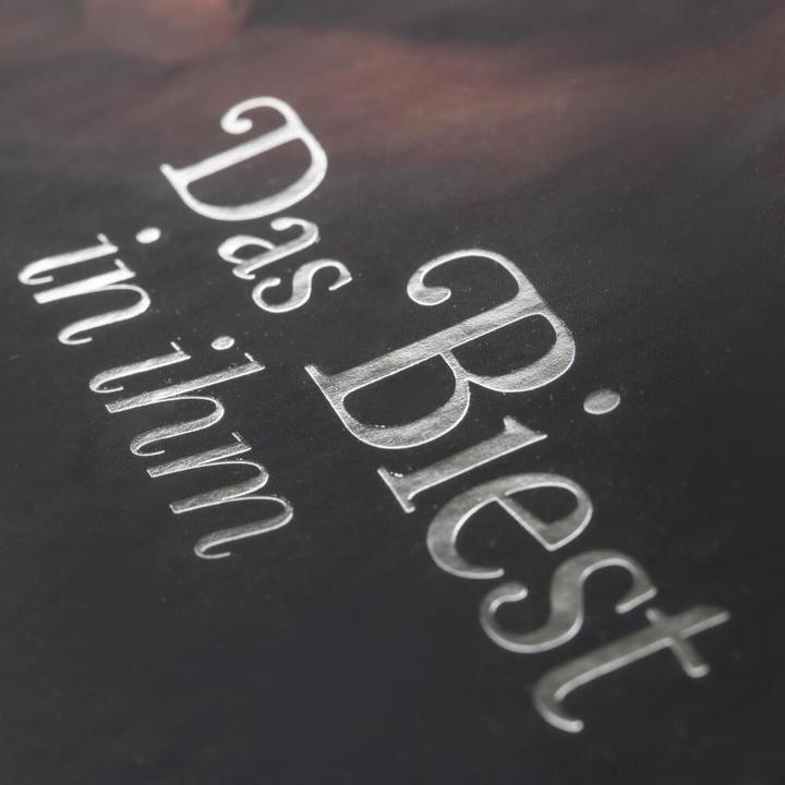 Produktbild Das Biest in ihm (Serena Valentino, Walt Disney, Deutsch)