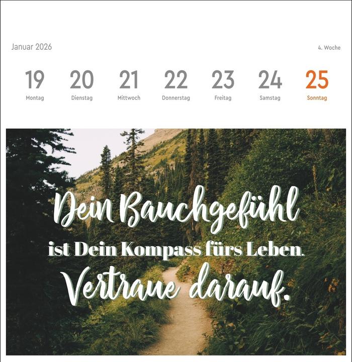 Produktbild Visual Statements Premium-Postkartenkalender 2026 (16.5 x 17.7 cm)