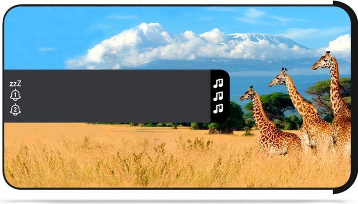 Actual product image Bigben Safari