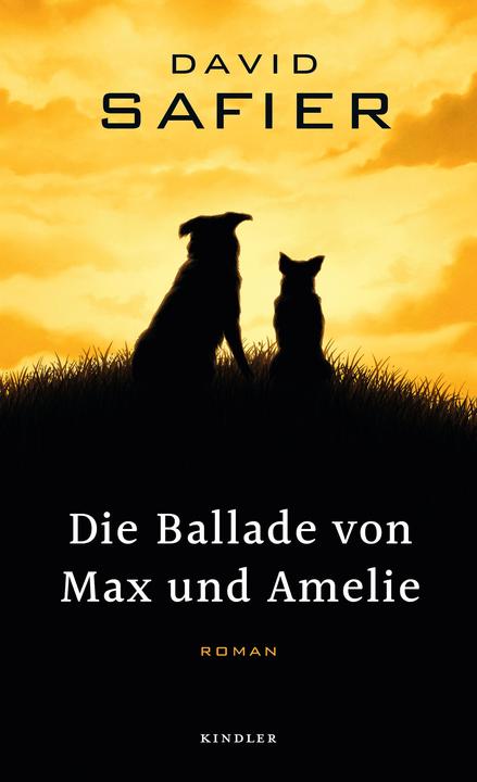 Produktbild Die Ballade von Max und Amelie (Deutsch, David Safier, 2018)