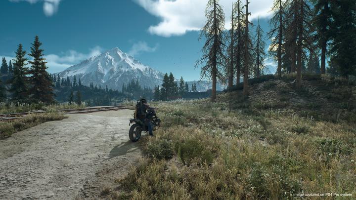 Actual product image Sony Days Gone (PS4, DE)
