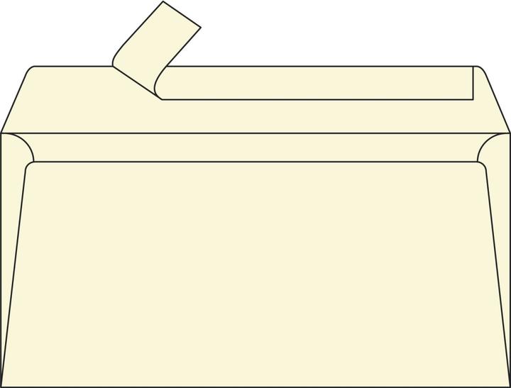 Produktbild Pollen Umschläge (DL, 20 x)