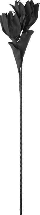 Produktbild EGLO LIVING Molave (90 cm)