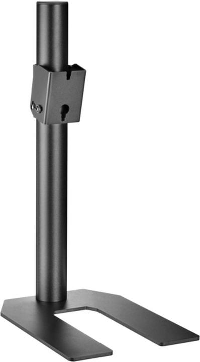 Neumann LH 66 (1 pièce)