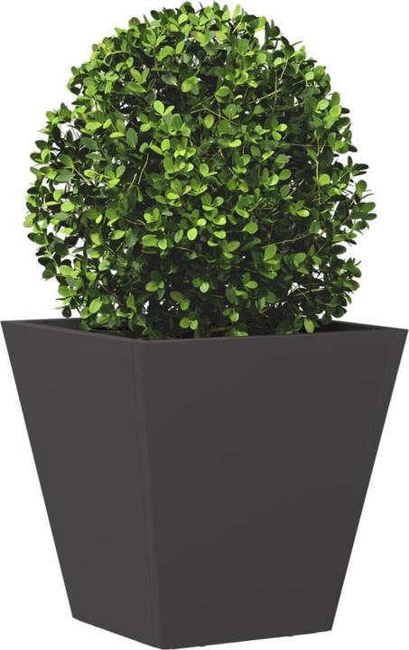 Produktbild vidaXL Pflanzkübel