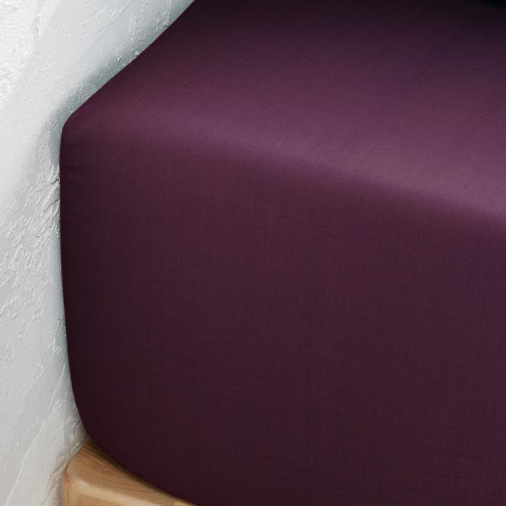 Actual product image La Redoute Interieurs Percale Bio (Duvet cover, 140 x 190 cm)