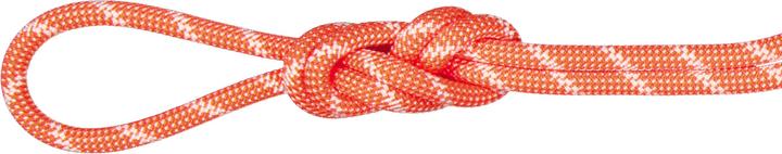 Produktbild Mammut 8.0 Alpine Classic Kletterseil (60 m)