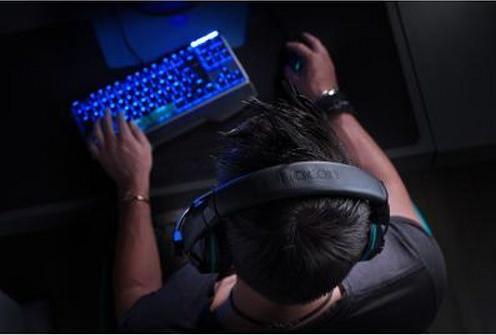 Actual product image Nacon Gaming GH-110 (Cable)