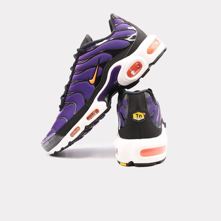 Nike Air Max Plus OG (43)