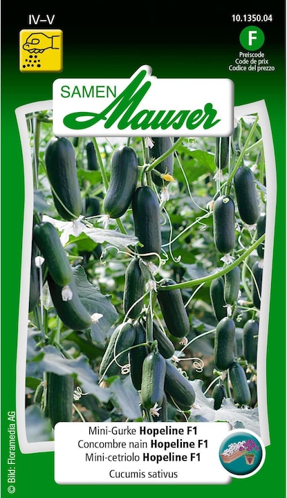 Actual product image Samen Mauser Mini-Gurke Hopeline F1 (Vegetable seeds)