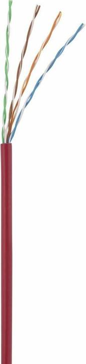 Actual product image Renkforce RF-5043992 RJ45 network cable, patch cable CAT 5e U/UTP 25.00 cm red wi (U/UTP, CAT5e, 0.25 m)