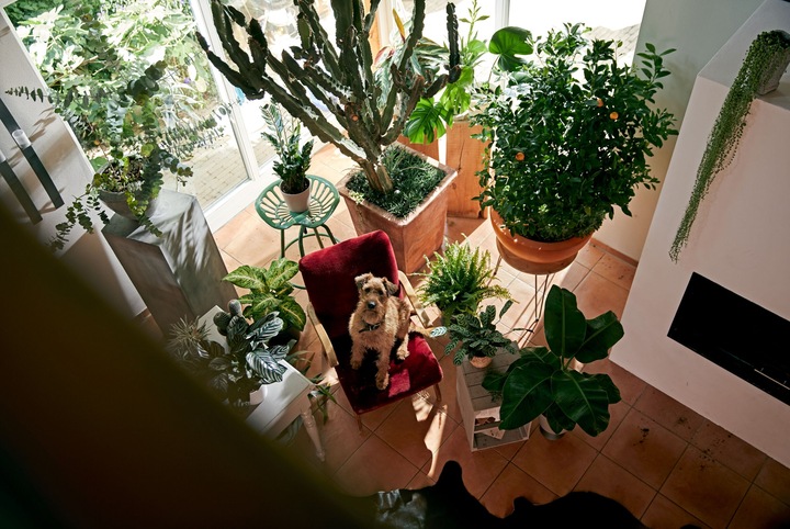 Image du produit Mioplant Terreau pour plantes d'intérieur (5 l, Sol sans tourbe)