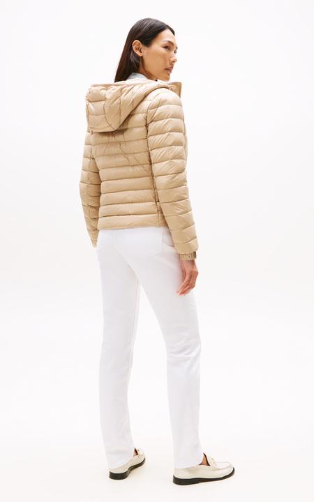Actual product image Tommy Hilfiger Down Hooded Jacket (3XL)