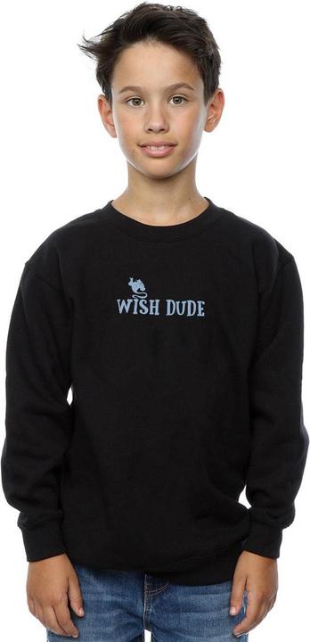 Actual product image Disney Boys Aladdin Wish Dude Sweatshirt (128)