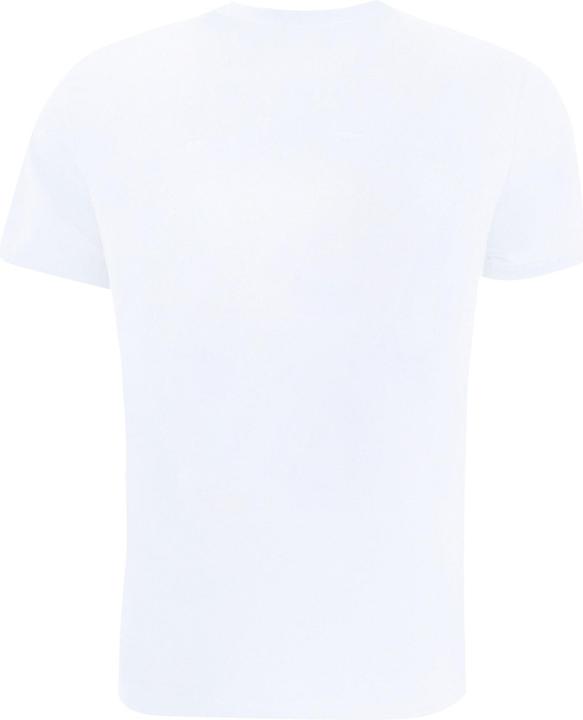 Actual product image Looney Tunes Boys Tasmanian Devil Vintage Cotton T-Shirt (152, 158)