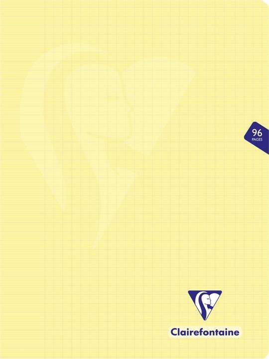 Actual product image Clairefontaine Mimesys (24 x 32 cm, Lined, Soft cover)