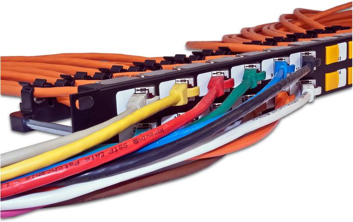 Actual product image Wirewin 24-port 1U patch panel, shielded