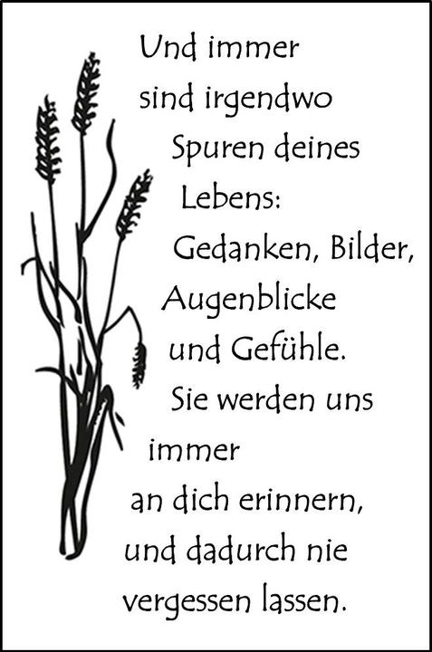 Immagine prodotto Efco Timbri trasparenti "Tracce della tua vita