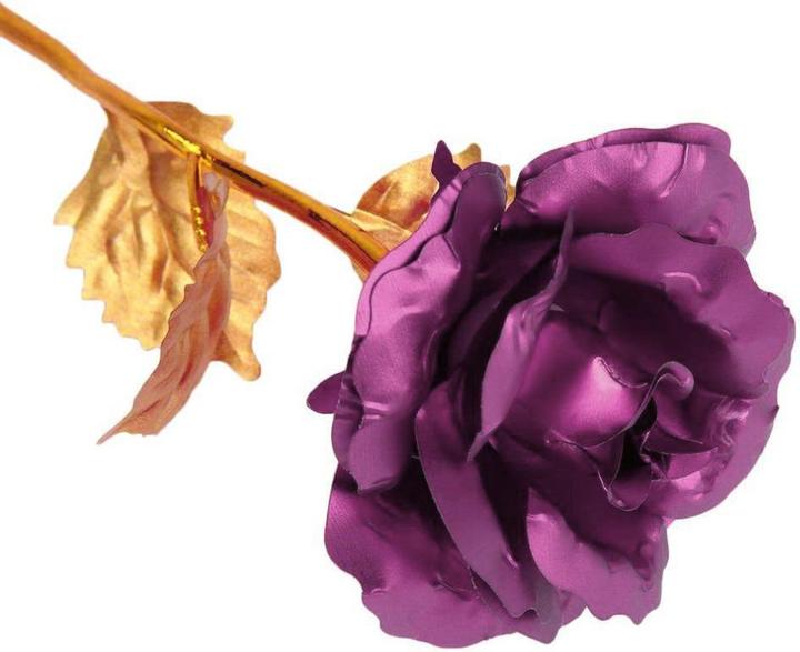 Produktbild JTI Ewigkeitsrose - Lila mit goldenem Stiel (Trockenblumen)