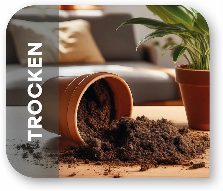 Actual product image CleanMaxx Akku-Handsauger