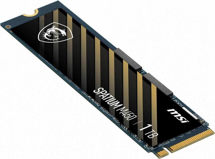 Produktbild MSI Spatium M450 (1000 GB, M.2 2280)