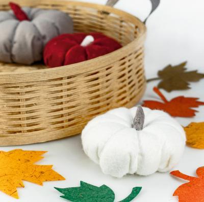 Actual product image Ursus Craft felt