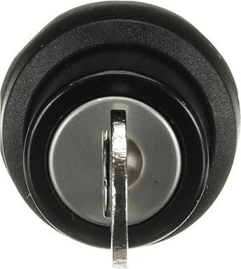 Actual product image ABB Lock switch