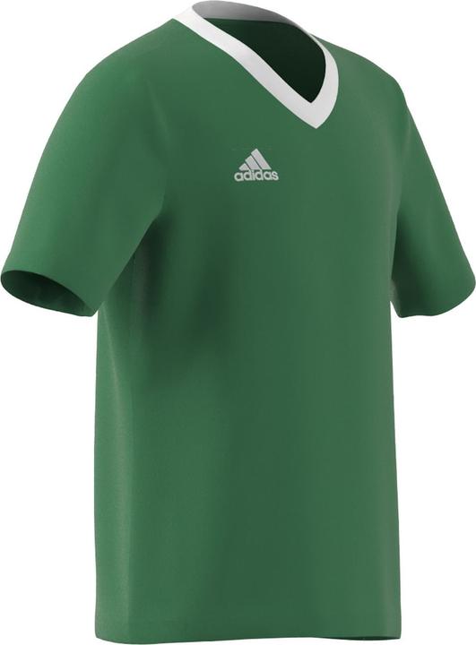 Image du produit adidas Maillot Entrada 22 (164)