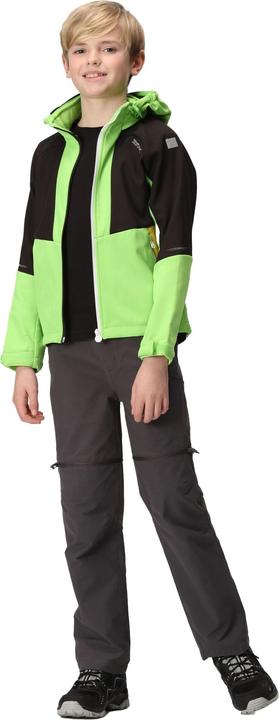 Produktbild Regatta Haydenbury Softshelljacke (146, 152)