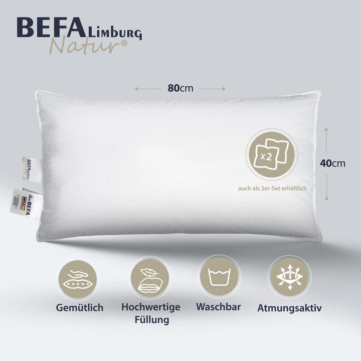 Image du produit BEFA Limburg Oreiller en plumes naturelles, 100% plumes (40 x 80 cm)