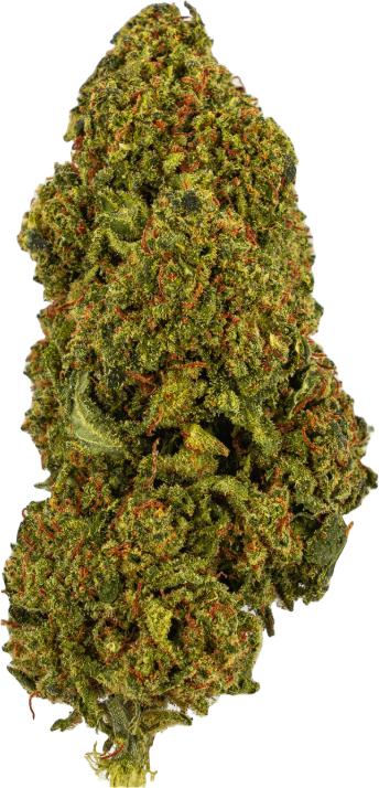 Image du produit Green Passion Passion Haze (5 g, Serre)