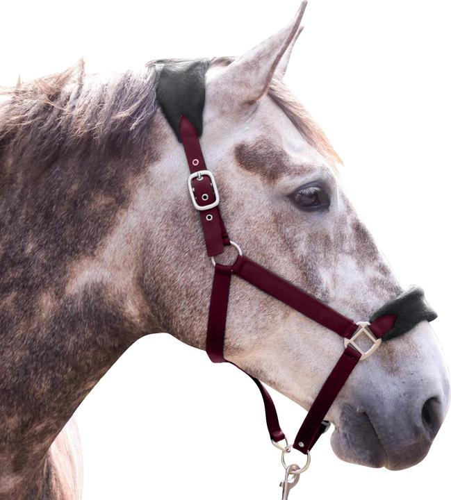 Produktbild Pferdehalfter und Führstrick Set FussballClub