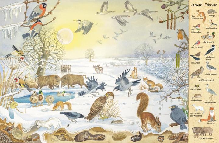 Image du produit Mein erstes Wimmelbuch - Jahreszeiten (Allemand, Christine Henkel, 2017)