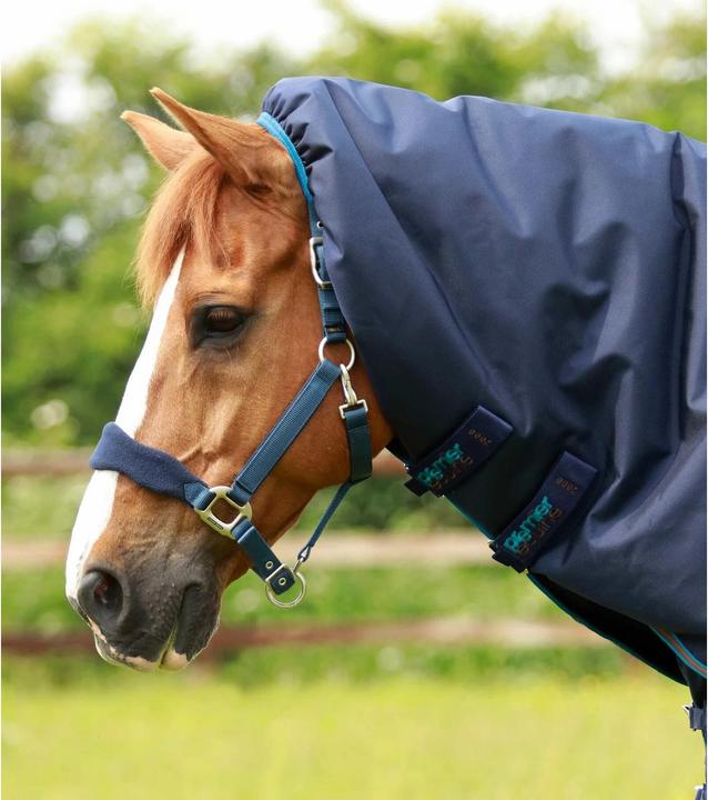 Image du produit Premier Equine Titan 200 g (221 cm)