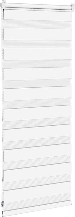 Produktbild vidaXL Zebra-Jalousie (55 x 100 cm)