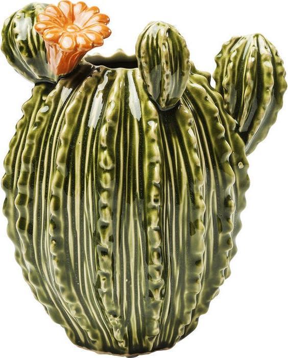 Kare Design Deco Vase Texas Kaktus Flower 23cm - buy at Galaxus - Galaxus