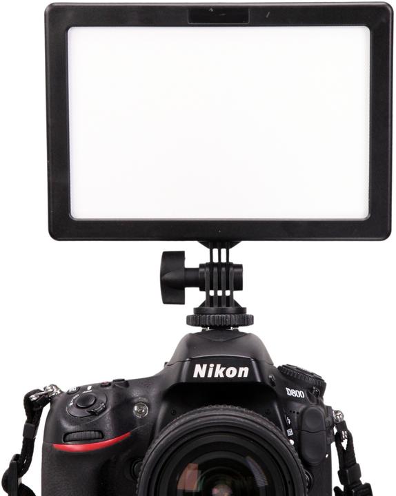 Immagine prodotto Ledgo LG-E116C illuminazione continua da studio fotografico (Videocamera)