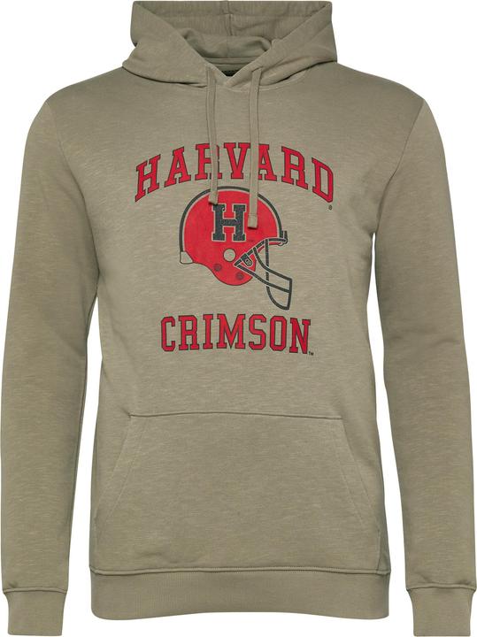 Produktbild s.Oliver Kapuzen-Sweatshirt im Modern Fit mit College-Artwork (3XL)