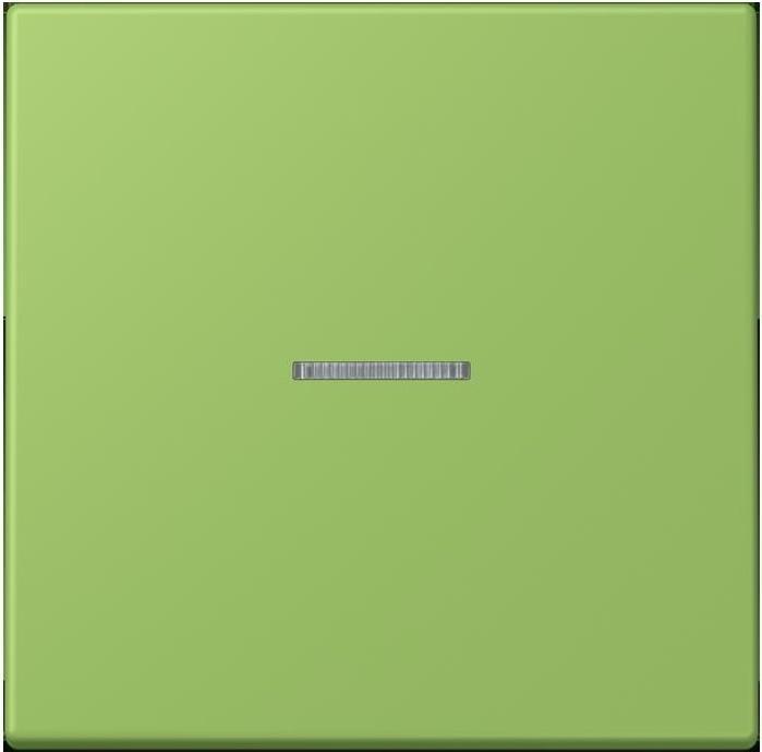 Produktbild JUNG Taster