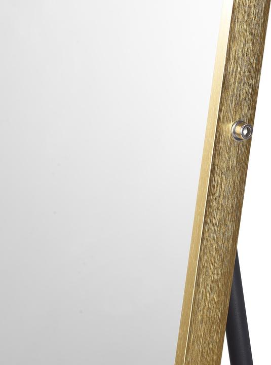 Image du produit SalesFever Spiegel (50 x 160 cm)